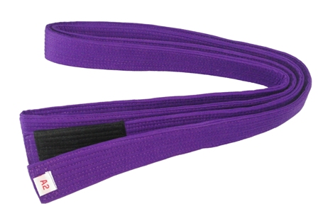 MSOGr|ブラジリアン柔術紫帯アダルト|